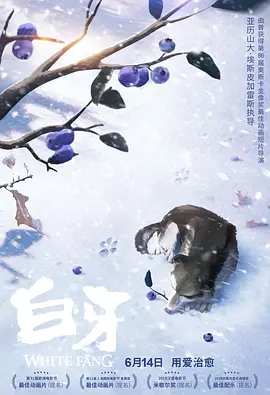 久久综合网址